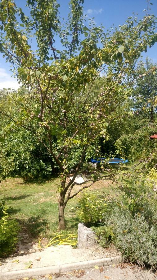 Orange Cube Apartment Rijeka Zewnętrze zdjęcie